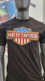 H-D Flag Long Logo Mns T