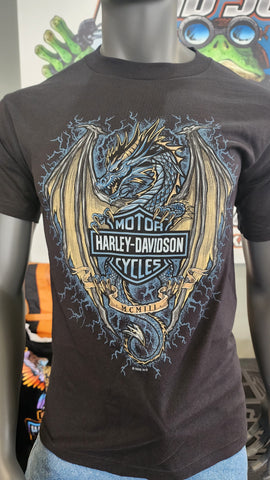 H-D Dragon Bar And Shield